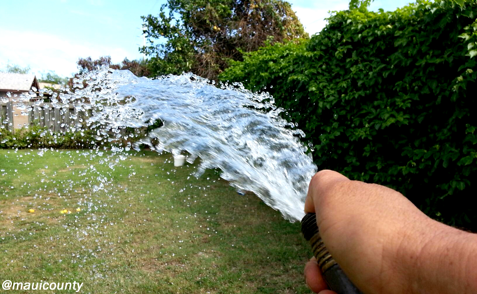 Watering the yard