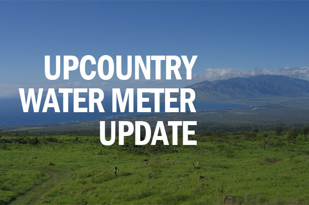Upcountry water meter