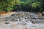 Wailuku River flooding