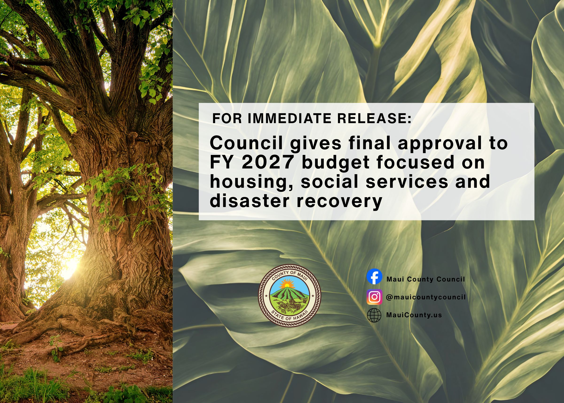 Forest/greenery background with county seal and text that reads "For immediate release: Council gives final approval to FY27 budget focusing on housing, social services and disaster recovery."